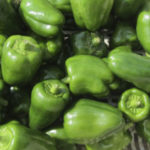 greenpeppe