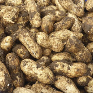 peanuts