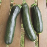 zucchini